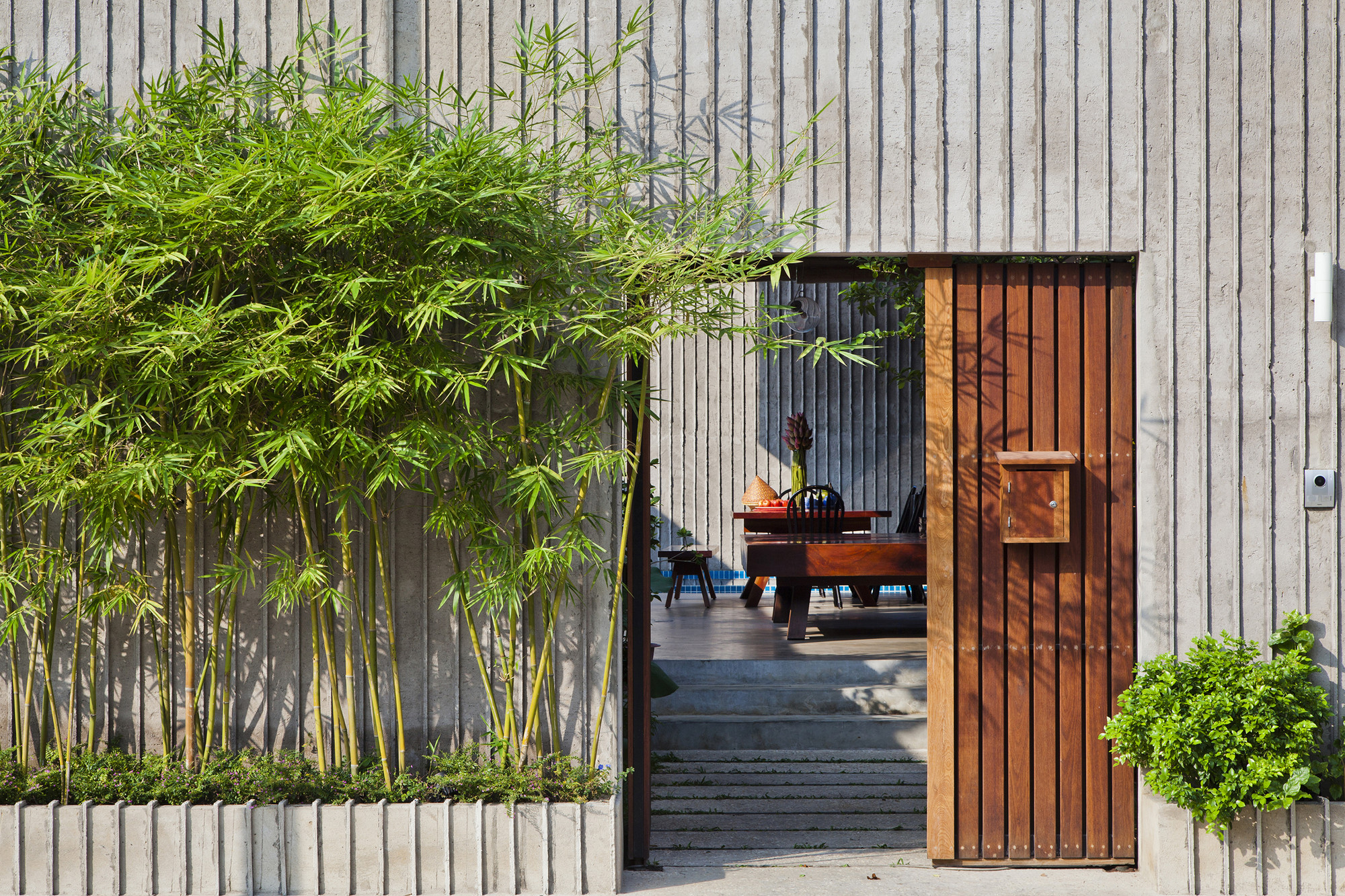 cay truc truoc cua nha tuong be tong