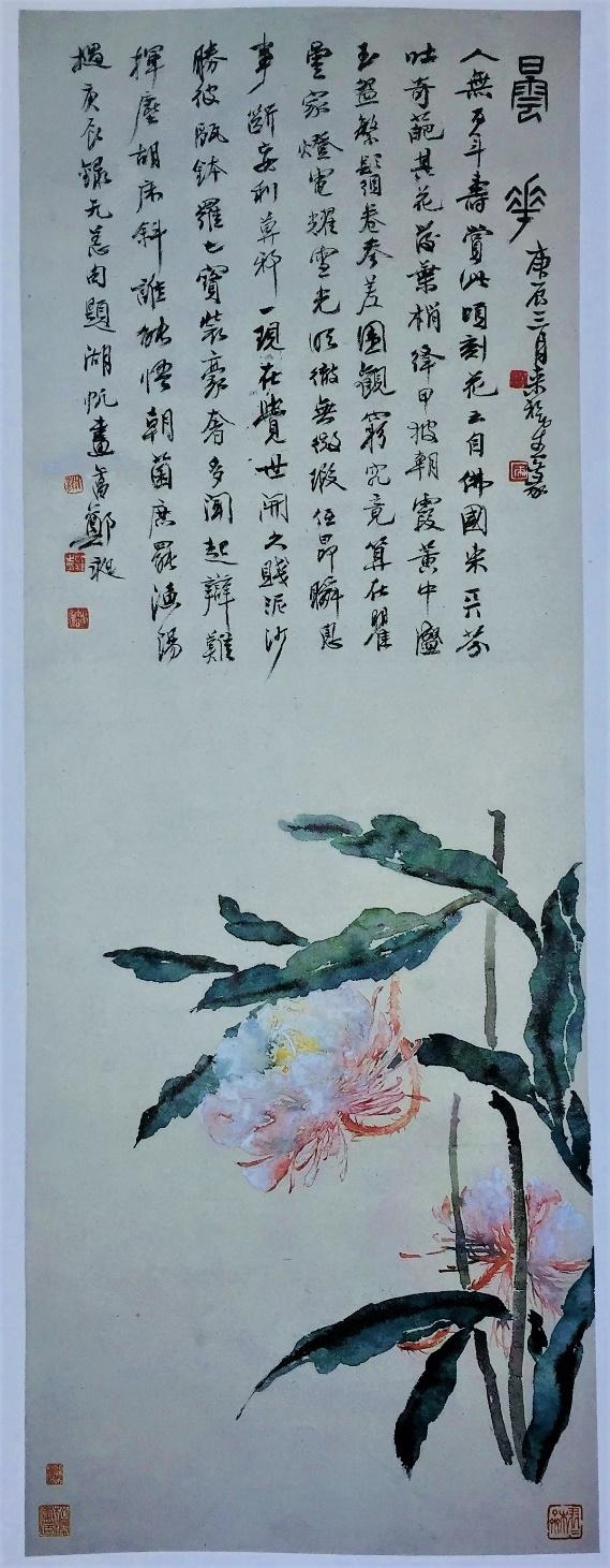 hoi hoa Wu Hufan Night-blooming Cereus