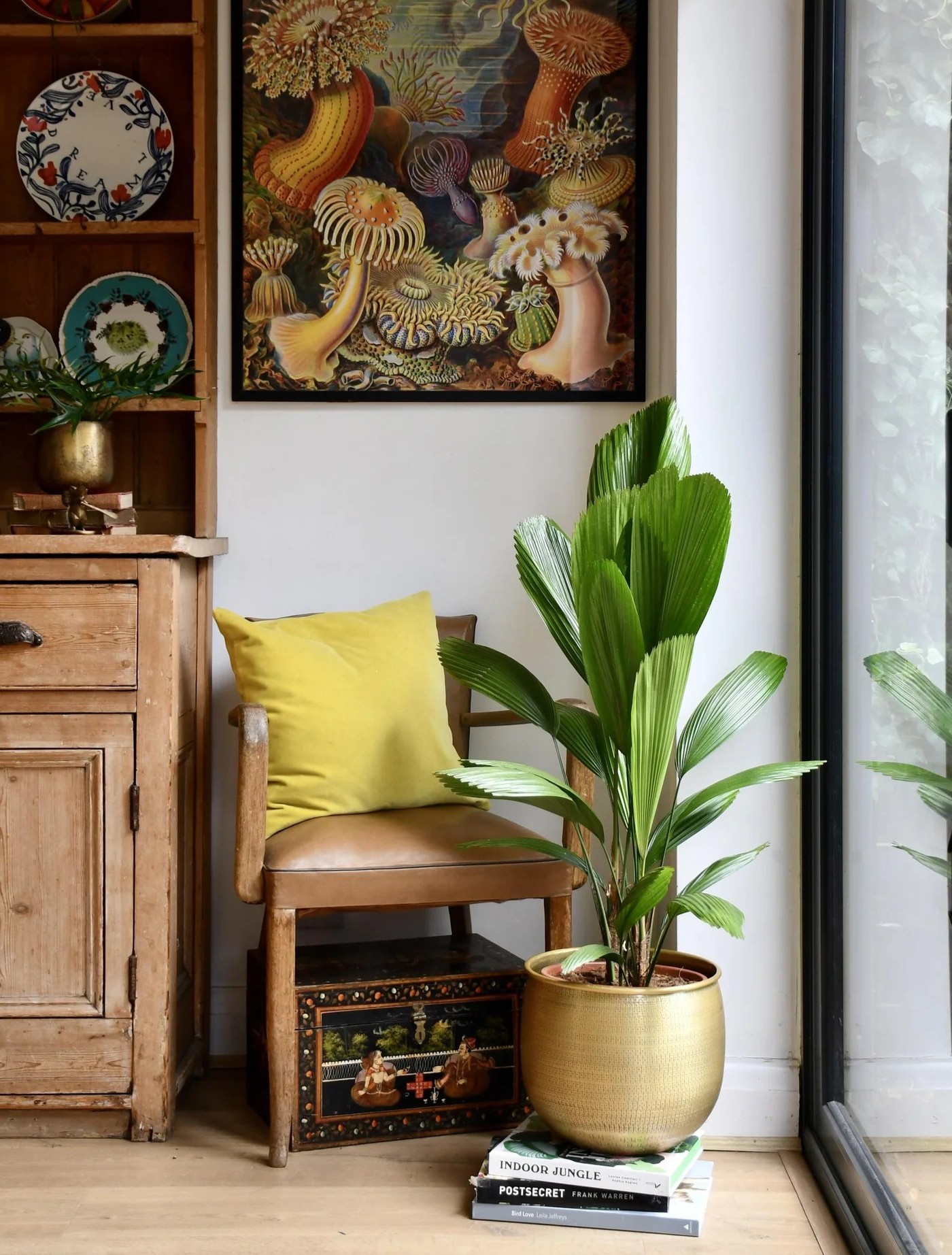 cay co nhat hop menh phong thuy