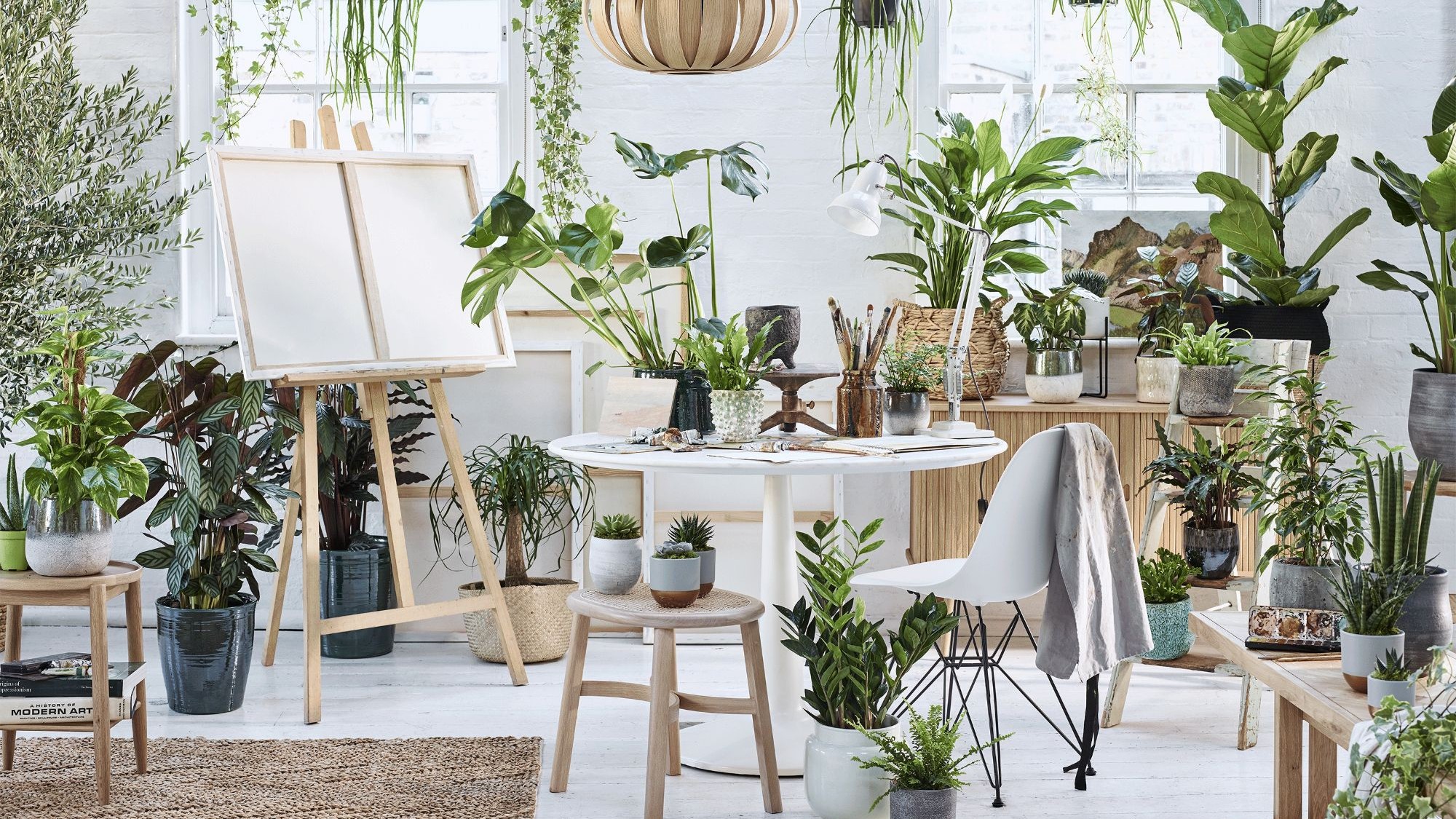 cay hop menh phong thuy noi that