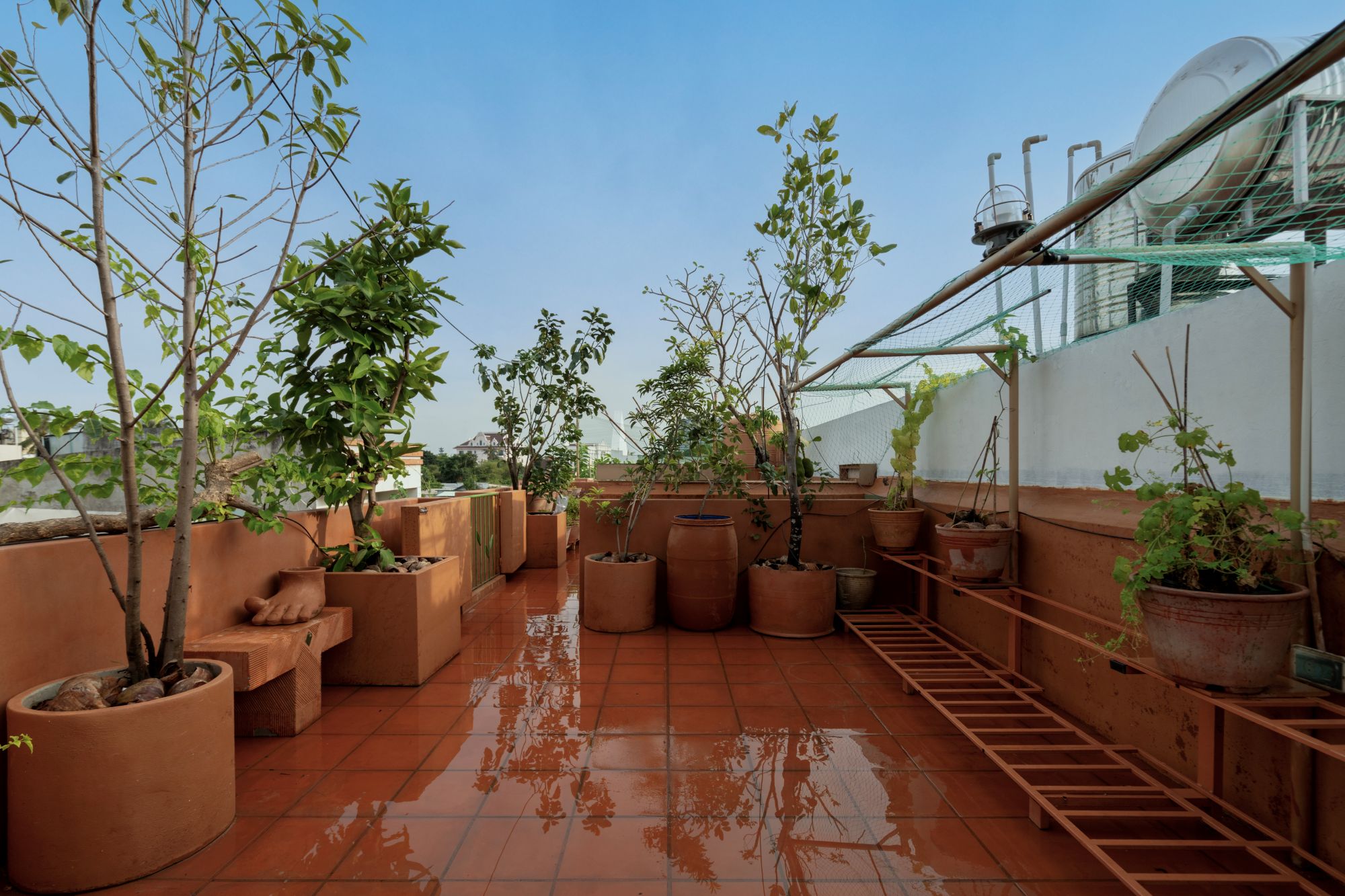 nha ong lai thieu binh duong gom cai tao san thuong