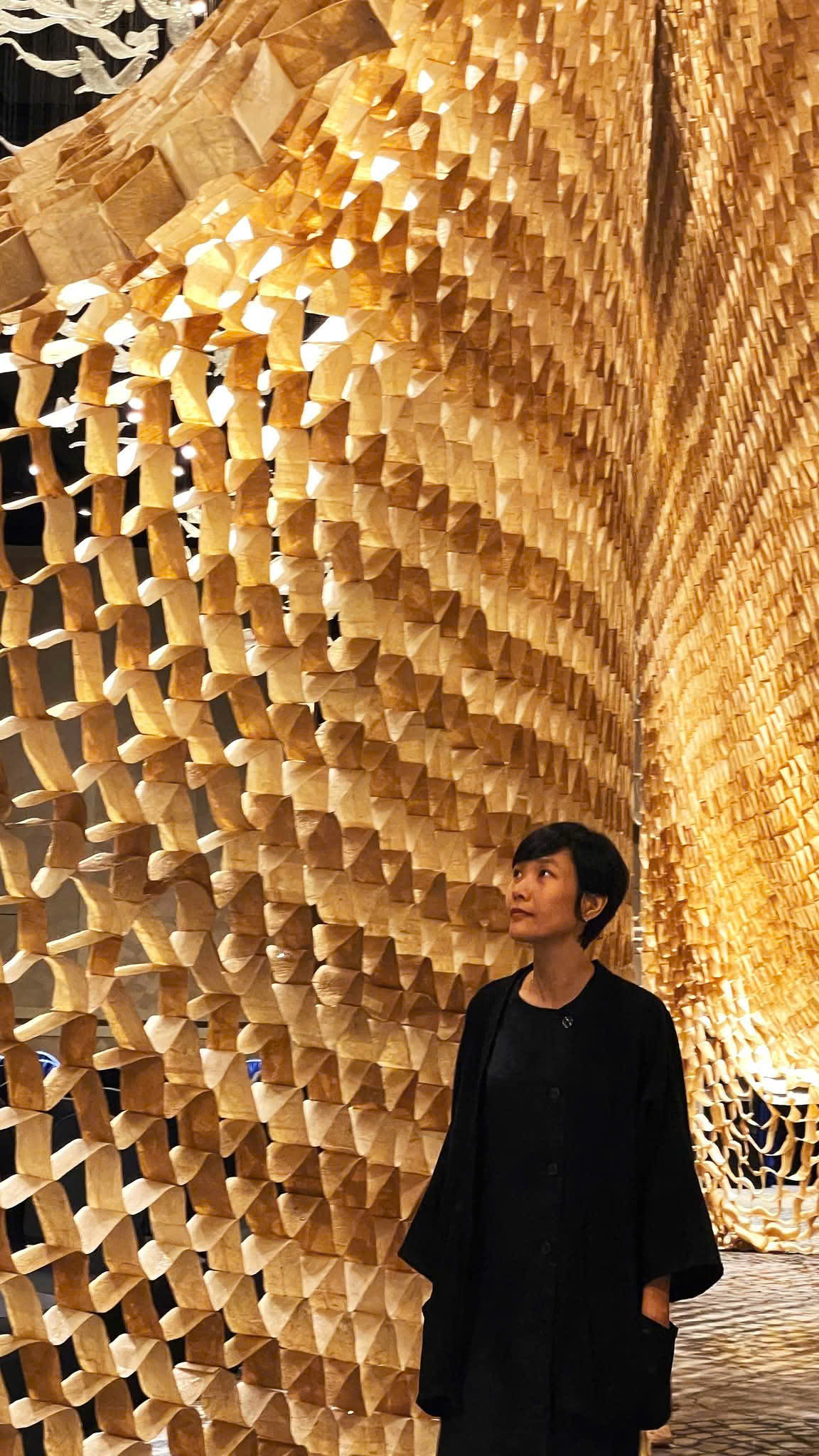 nguyen kieu lam lam weaving spaces evsda 