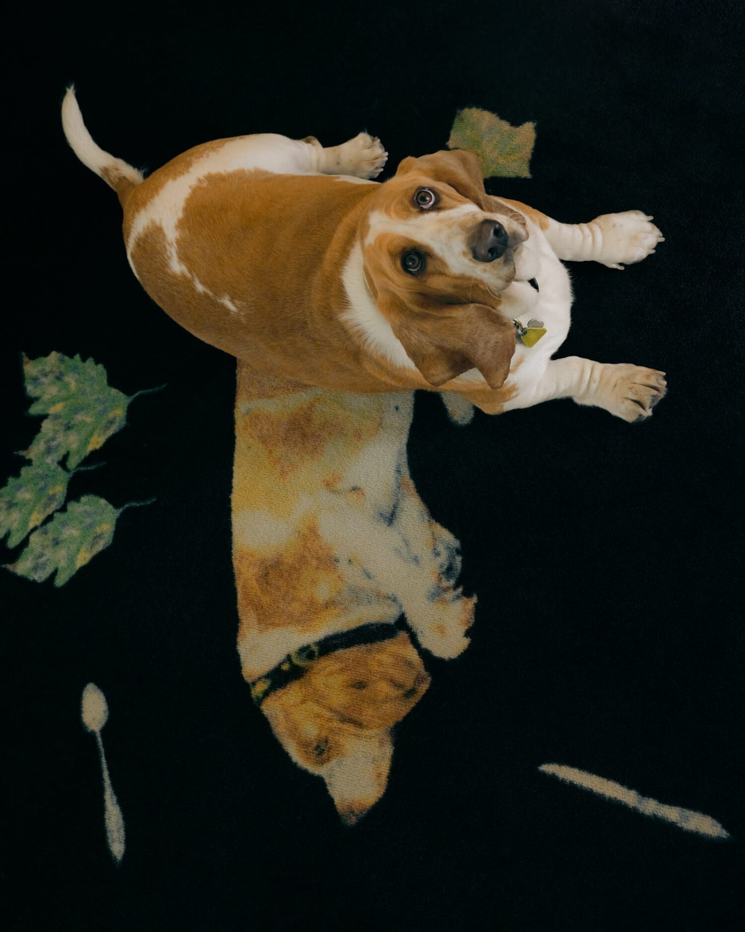 nha hang Le Dorian Ykra Architects