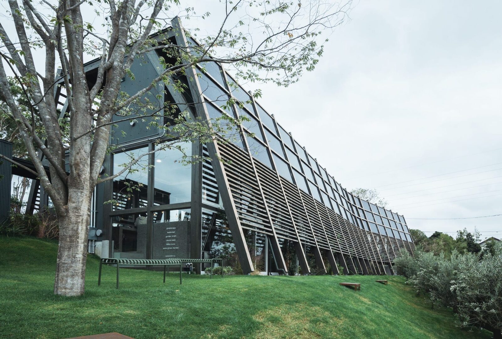 kien truc su Taichi Saito