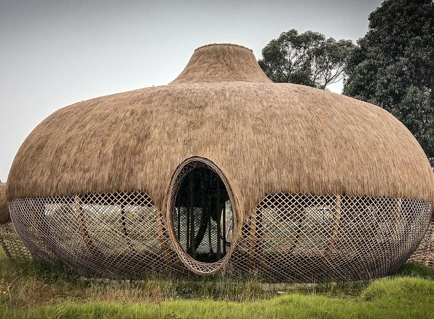 Fundación Organizmo Casa de Pensamiento kien truc ben vung