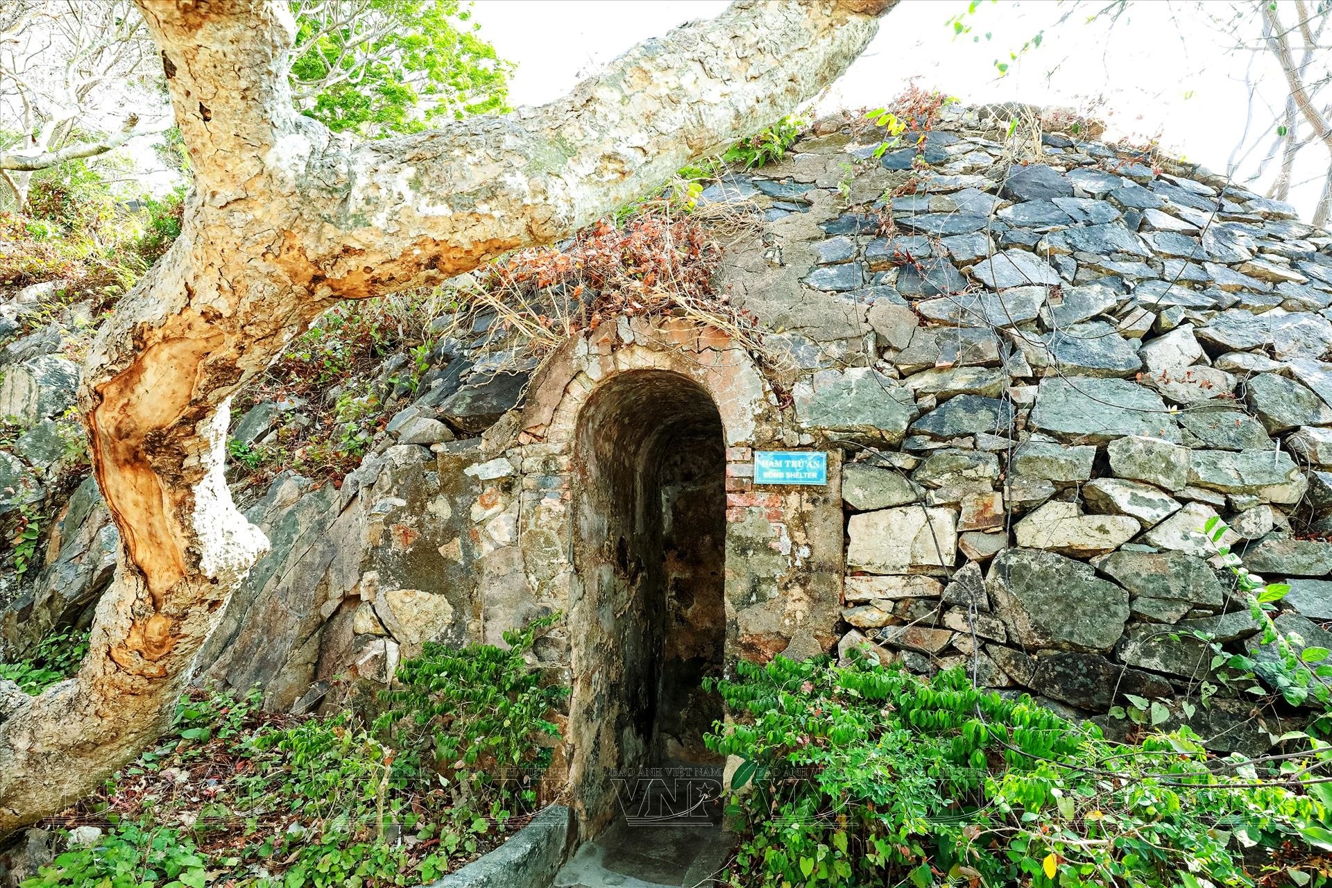 vung tau Blanche Villa vua bao dai