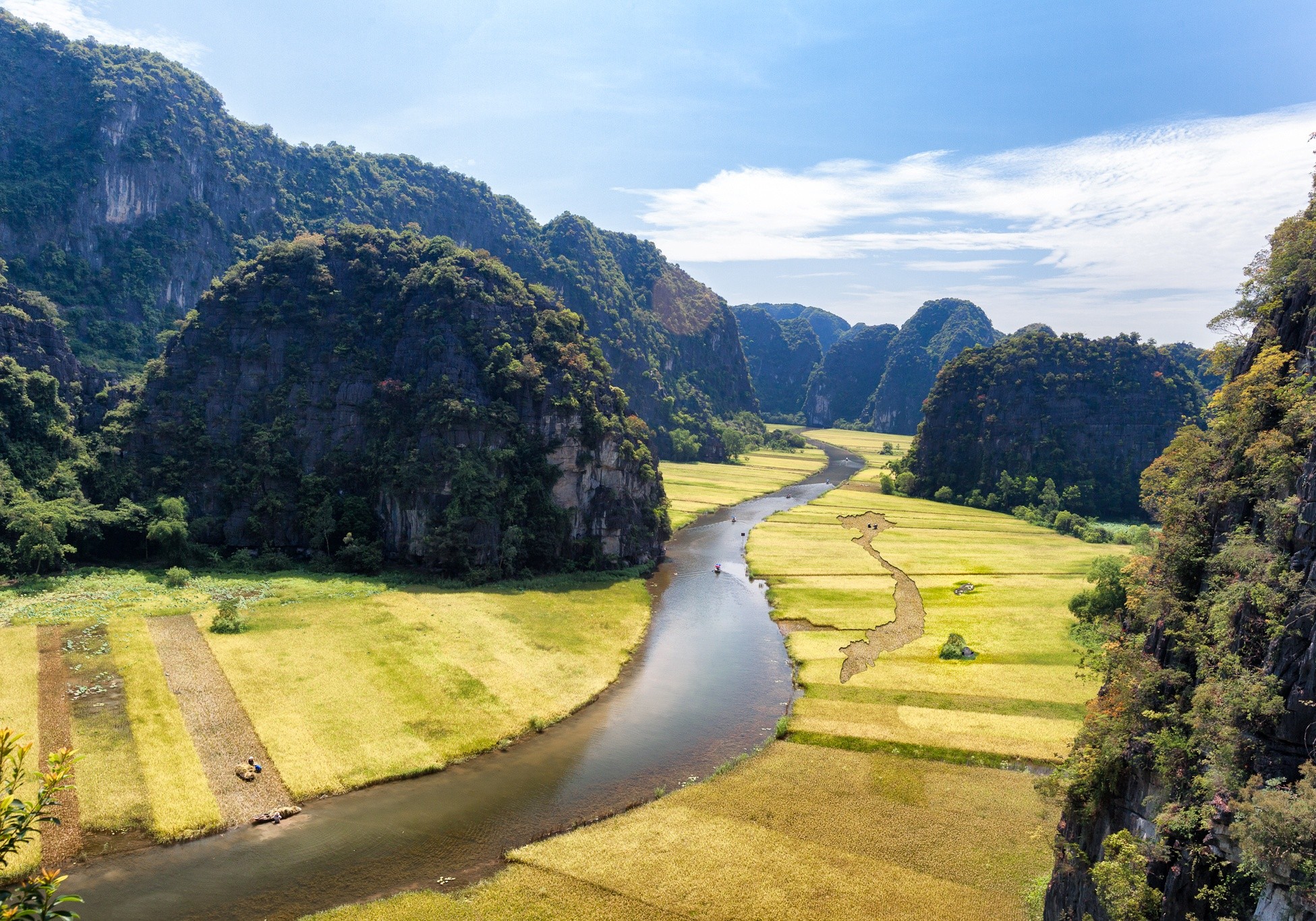 co do viet nam hoa lu hoang thanh thang long dai noi hue
