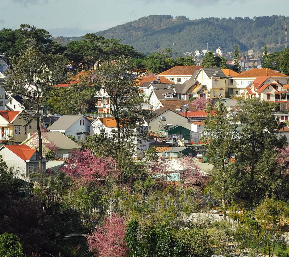 kien truc phap da lat dong duong