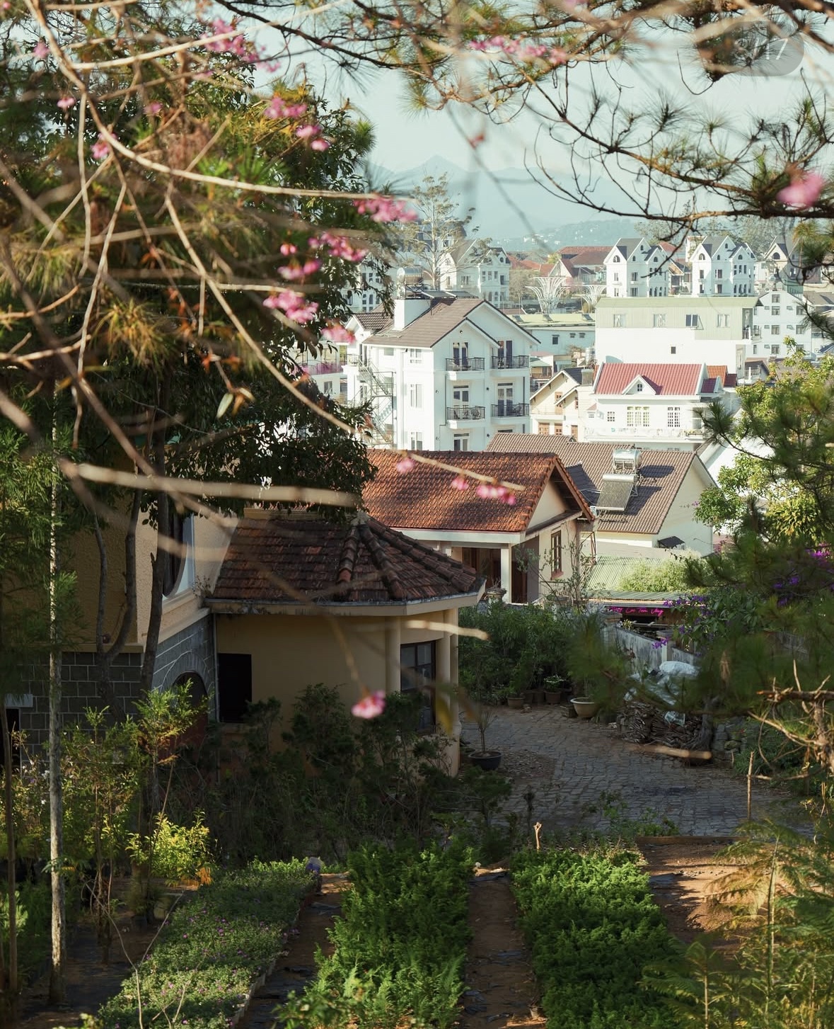 kien truc phap dong duong