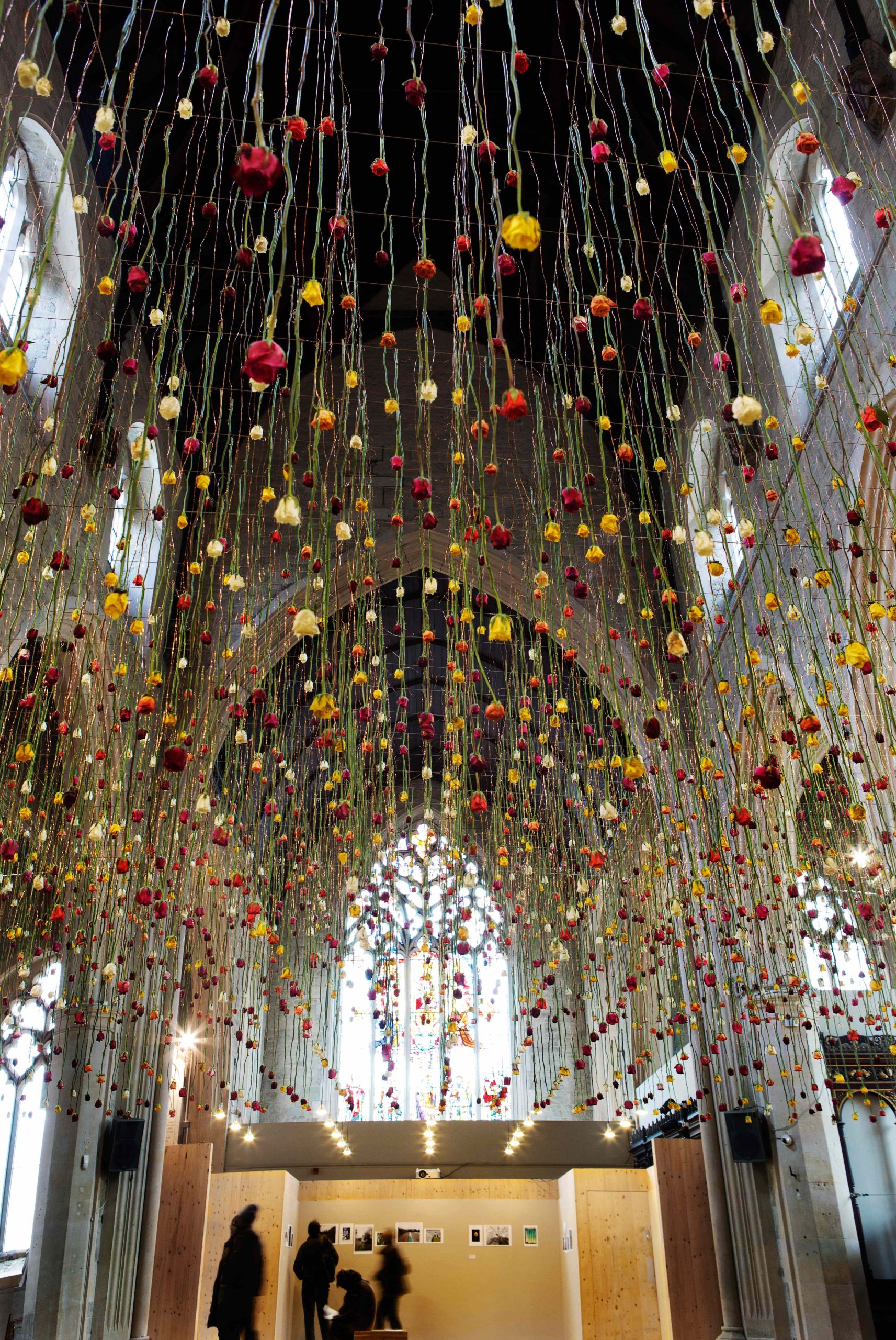 nghe si hoa kho Shannon Clegg Rebecca Louise Law Ignacio Canales Aracil Marcin Rusak