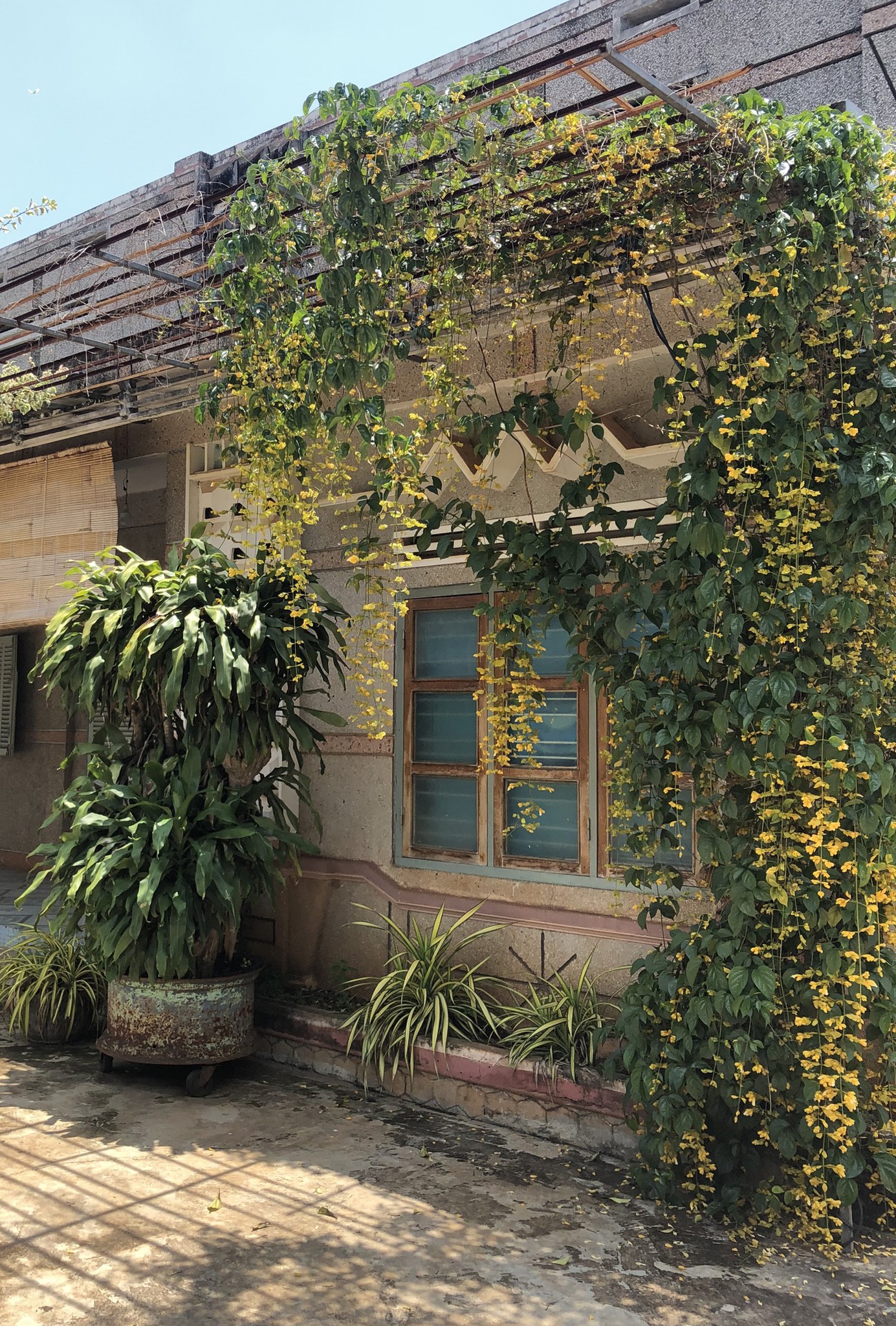 da rua vat lieu xay dung truyen thong nam bo kien truc modernist