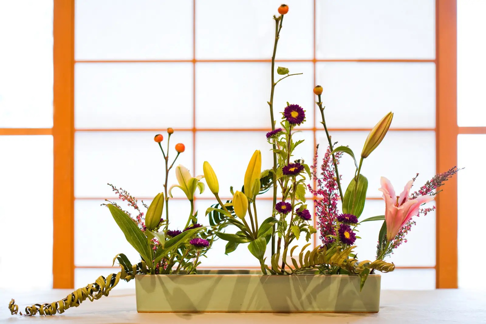 cam hoa ikebana ohara nhat ban