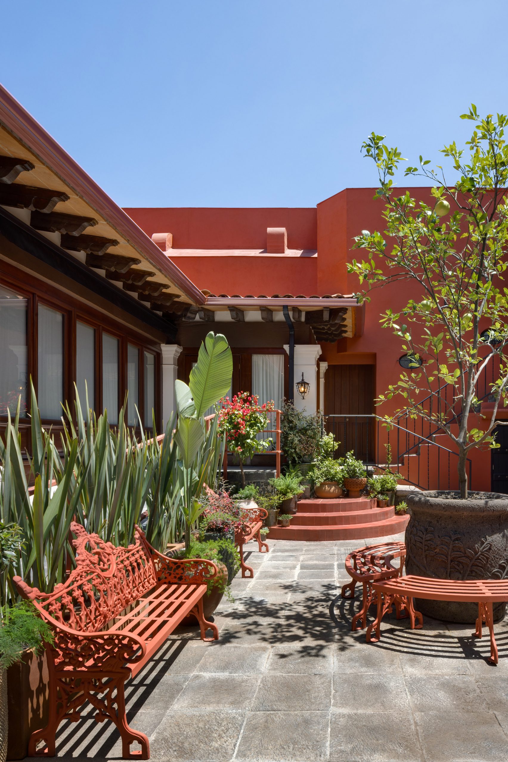 bao tang Museo Casa Kahlo Mexico City Frida Kahlo Mariana Doet Zepeda Orozco