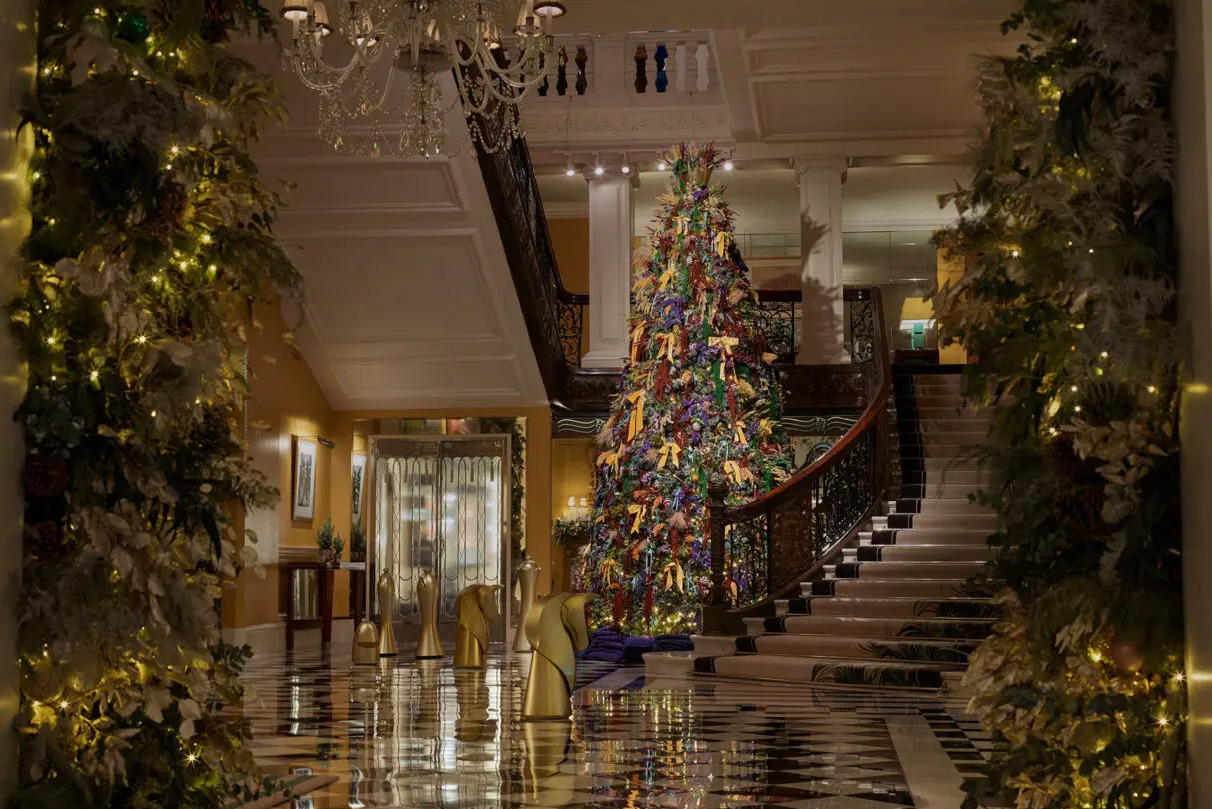 cay thong christmas tree