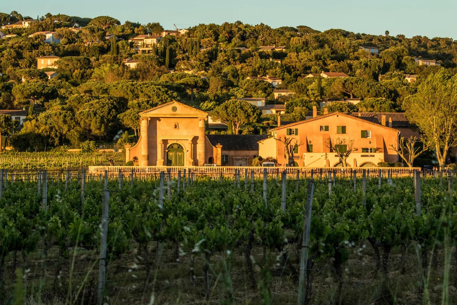 Domaine Bertaud Belieu du lich ruou vang