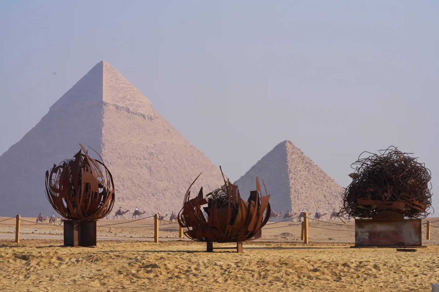 kim tu thap trien lam nghe thuat duong dai forever is now desert flowers