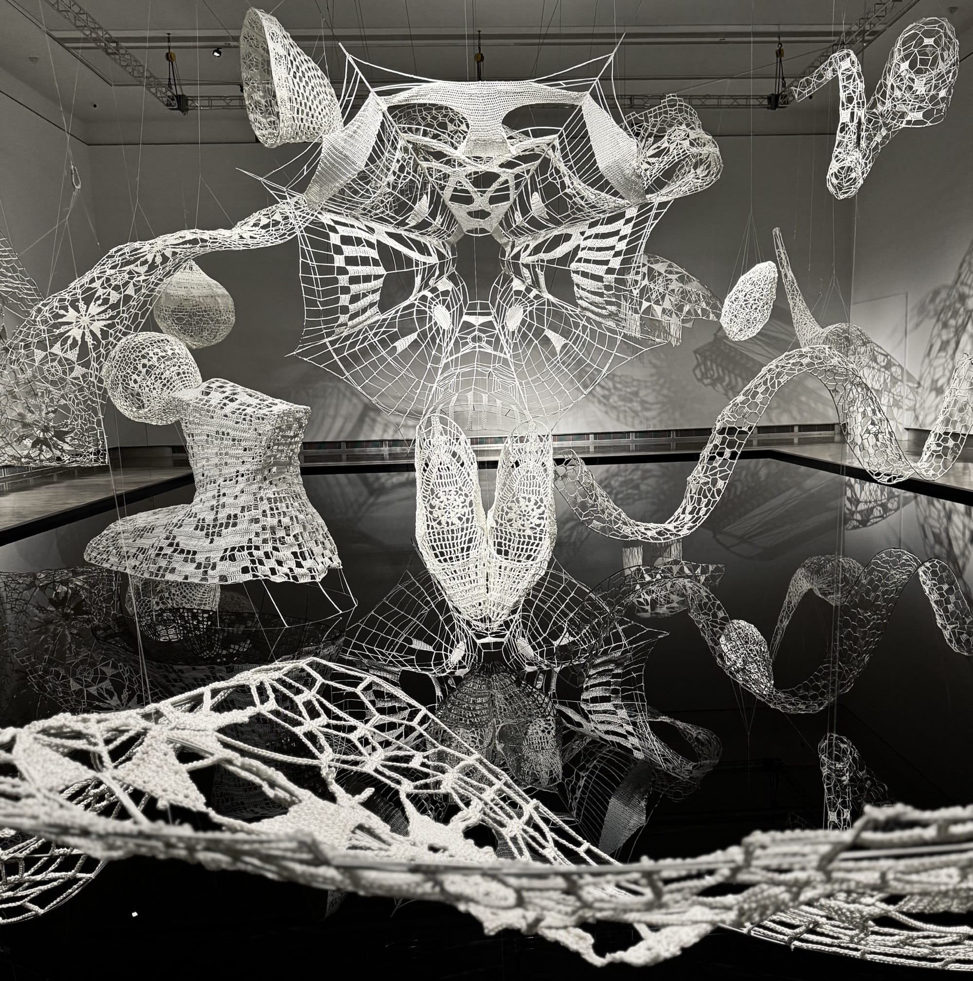 12 con giap tac pham sap dat distance ren choi shine architects