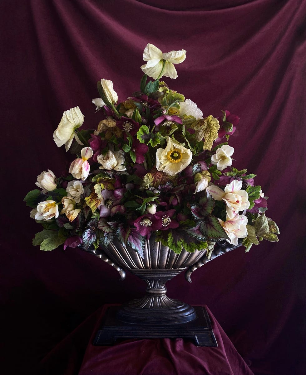 nghe thuat cam hoa Anna Potter Shean Strong Gabriela Salazar Sammy Go Sophia Kaplan