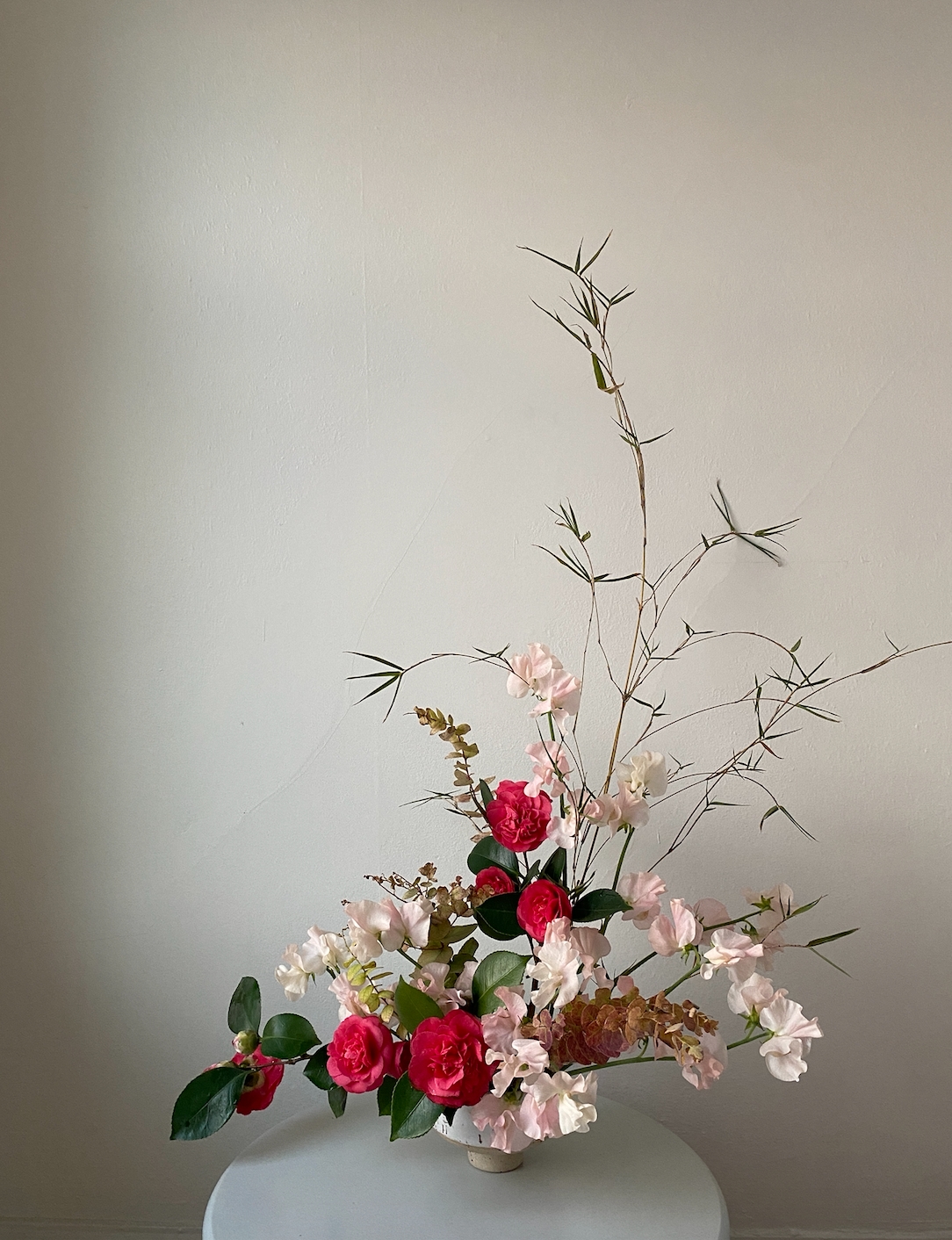 nghe thuat cam hoa Anna Potter Shean Strong Gabriela Salazar Sammy Go Sophia Kaplan