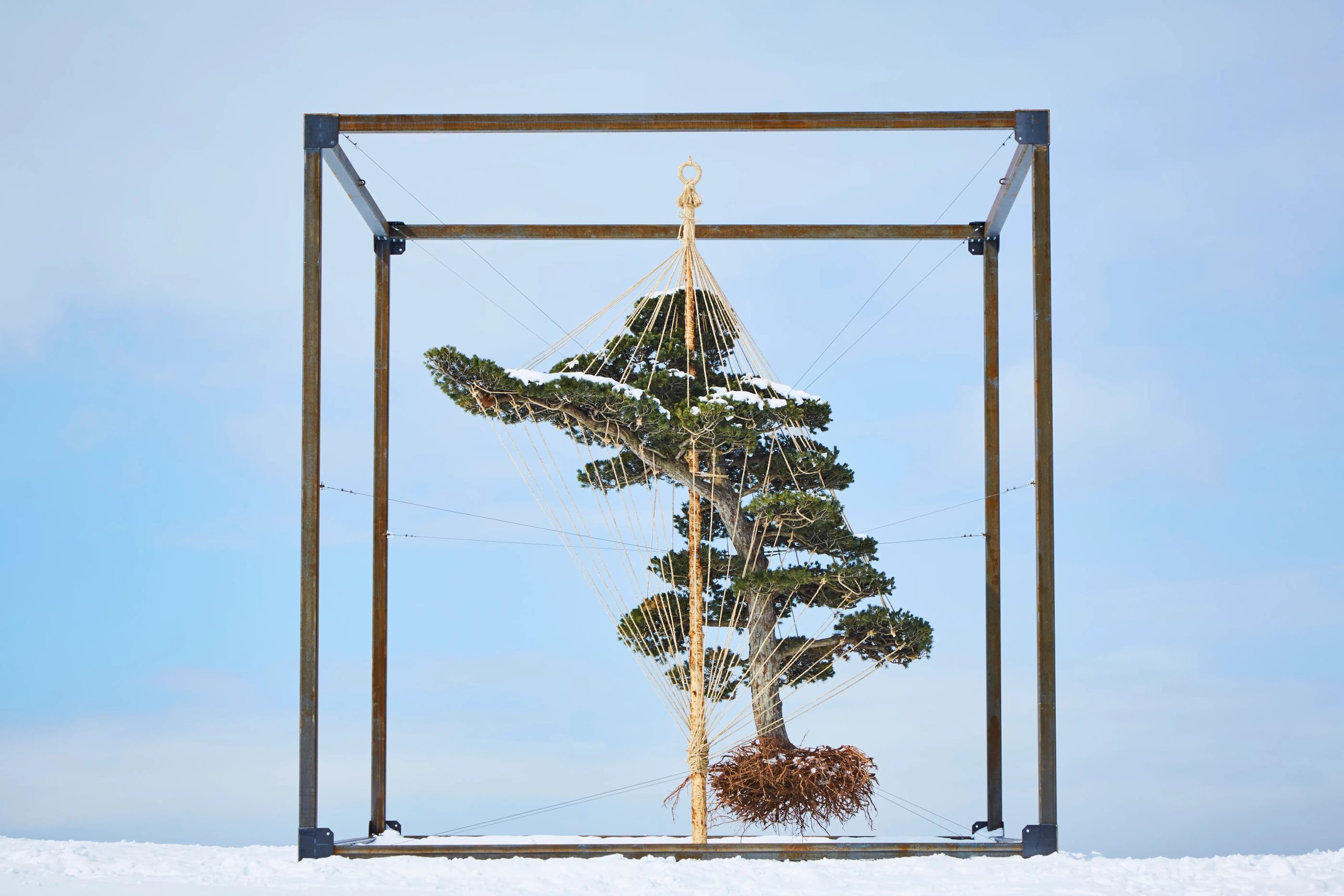 azuma makoto Shiki Tou dieu khac cam hoa sap dat nghe thuat