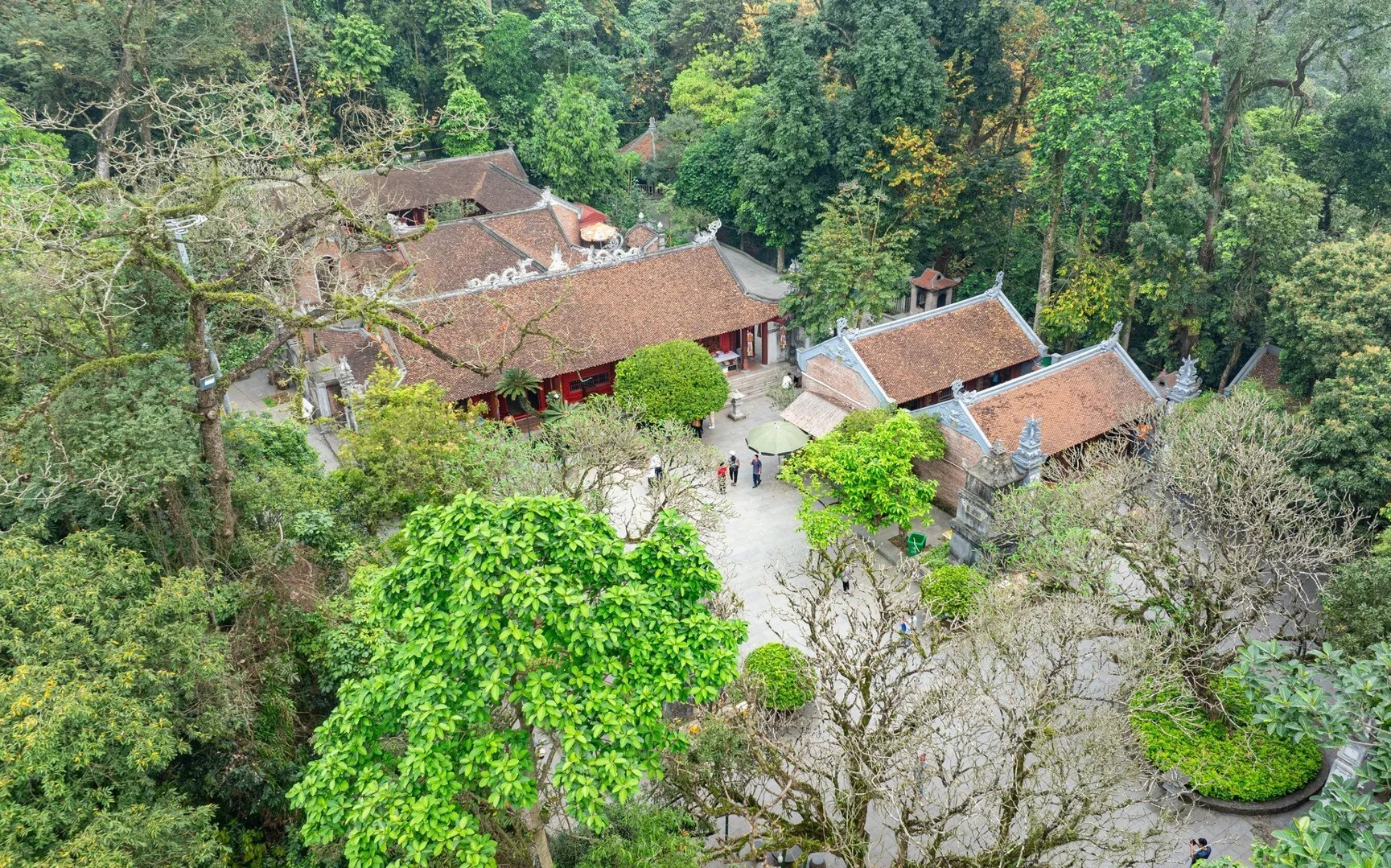 den hung kien truc di san 