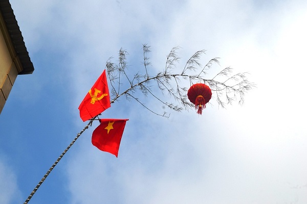 cay neu ngay tet bieu tuong tin nguong