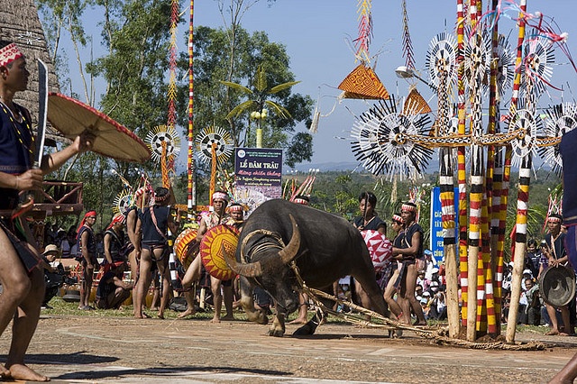 cay neu ngay tet bieu tuong tin nguong