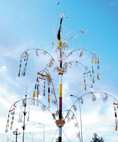 cay neu ngay tet bieu tuong tin nguong