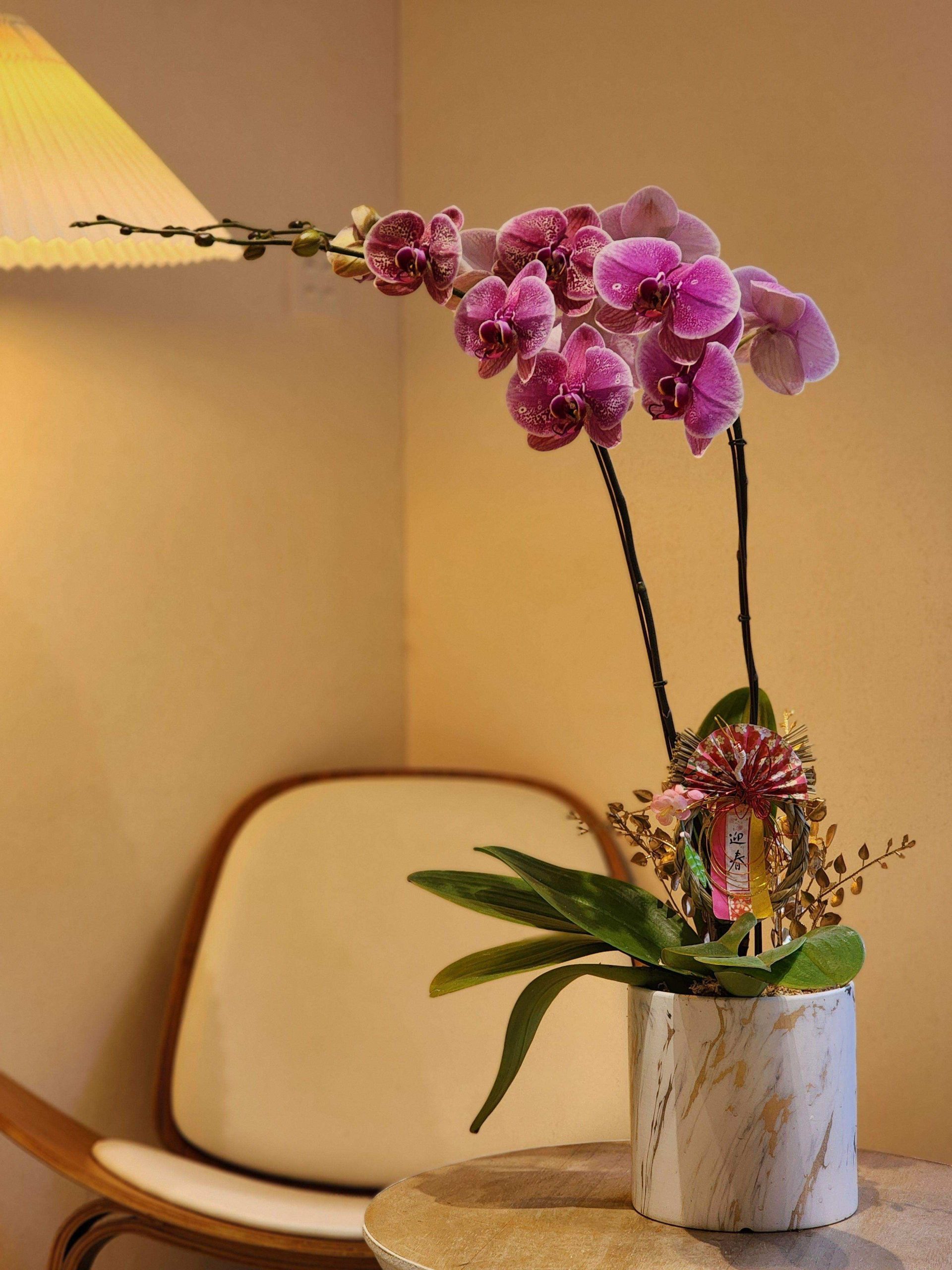 lan ho diep noi that