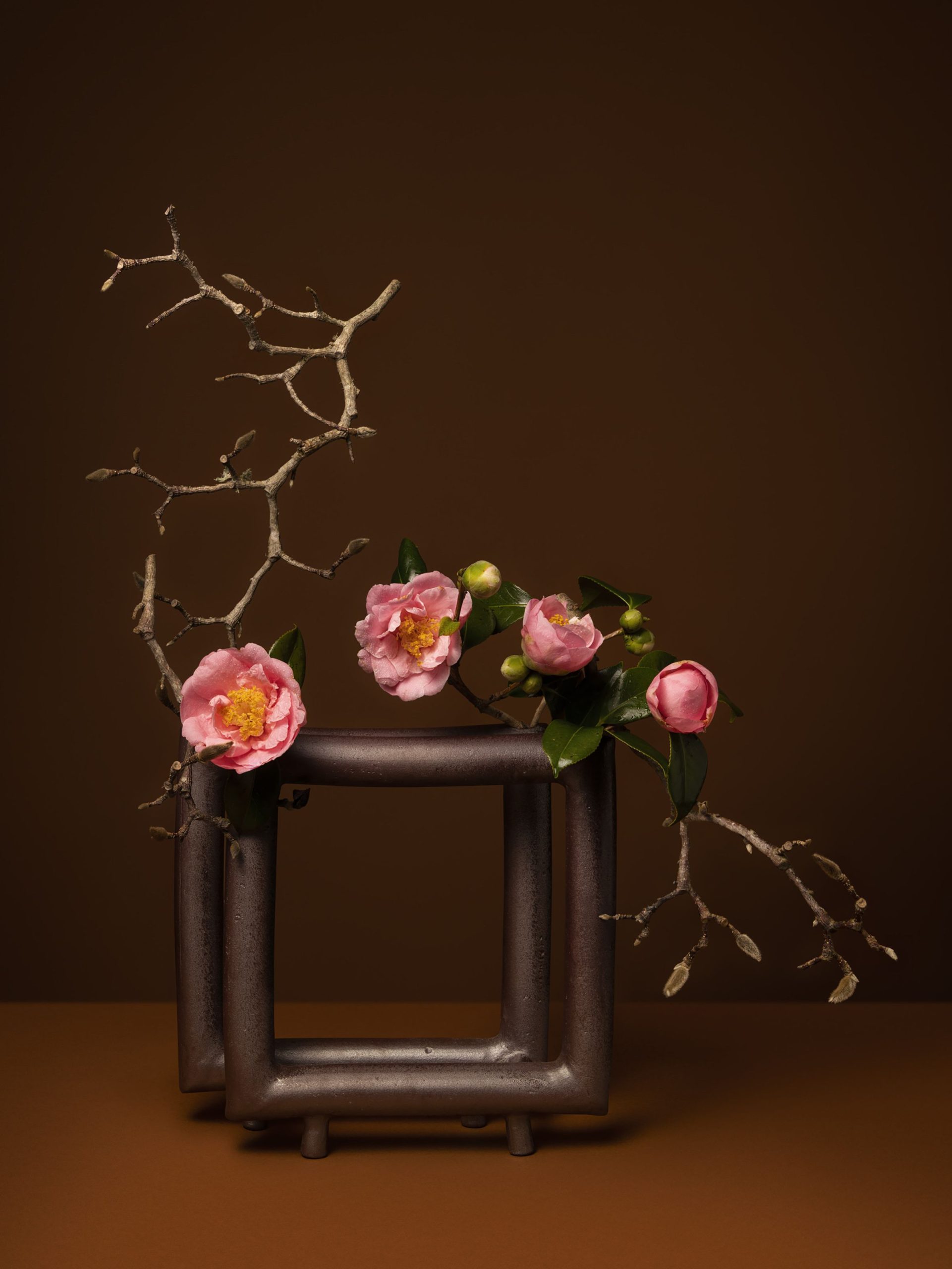 cam hoa ikebana camellia nhat ban