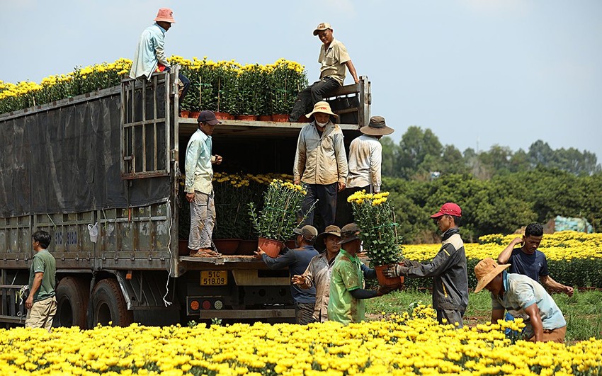 gia tan dong nai tet nguyen dan