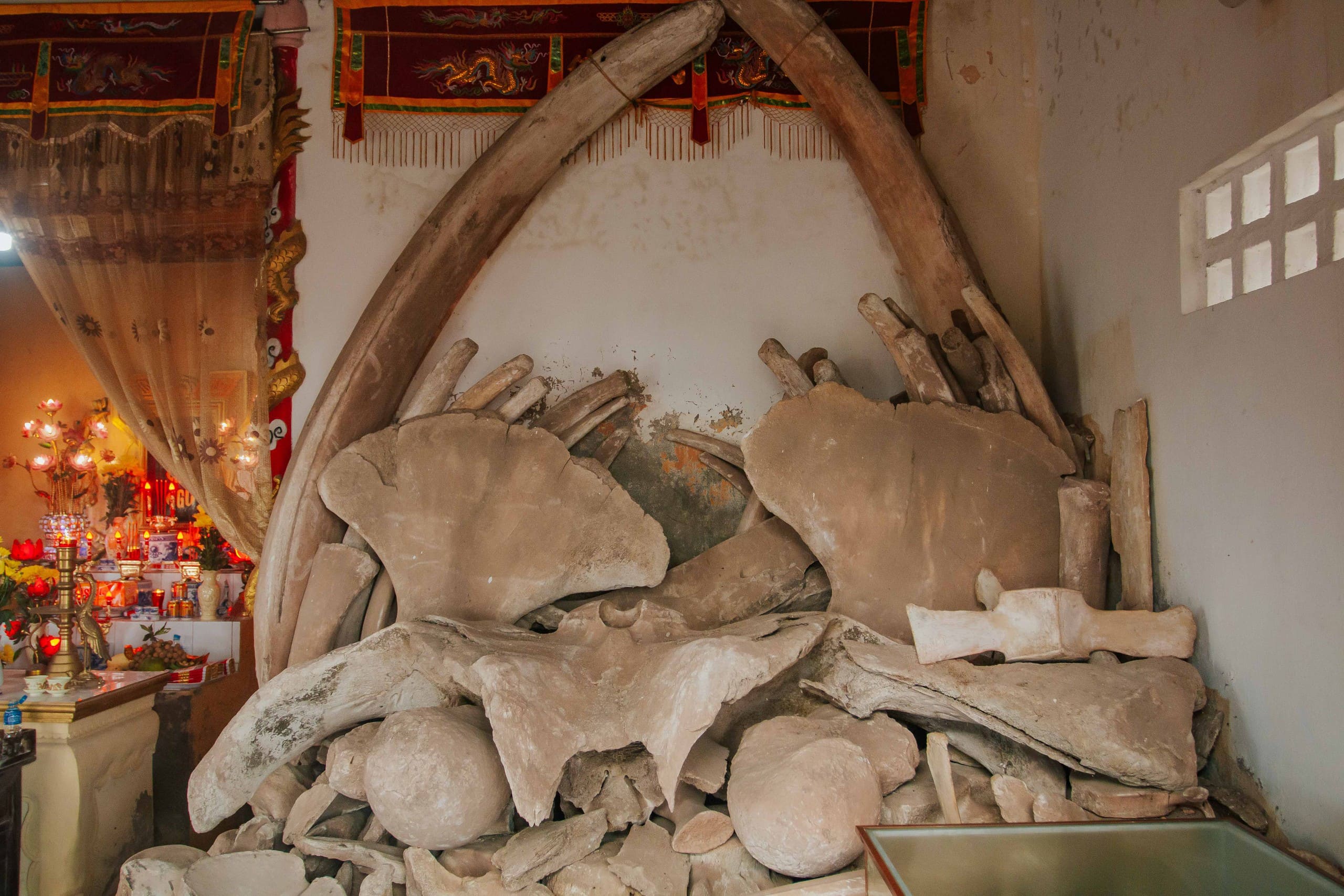 tuc tho ca ong viet nam nam hai dai tuong quan