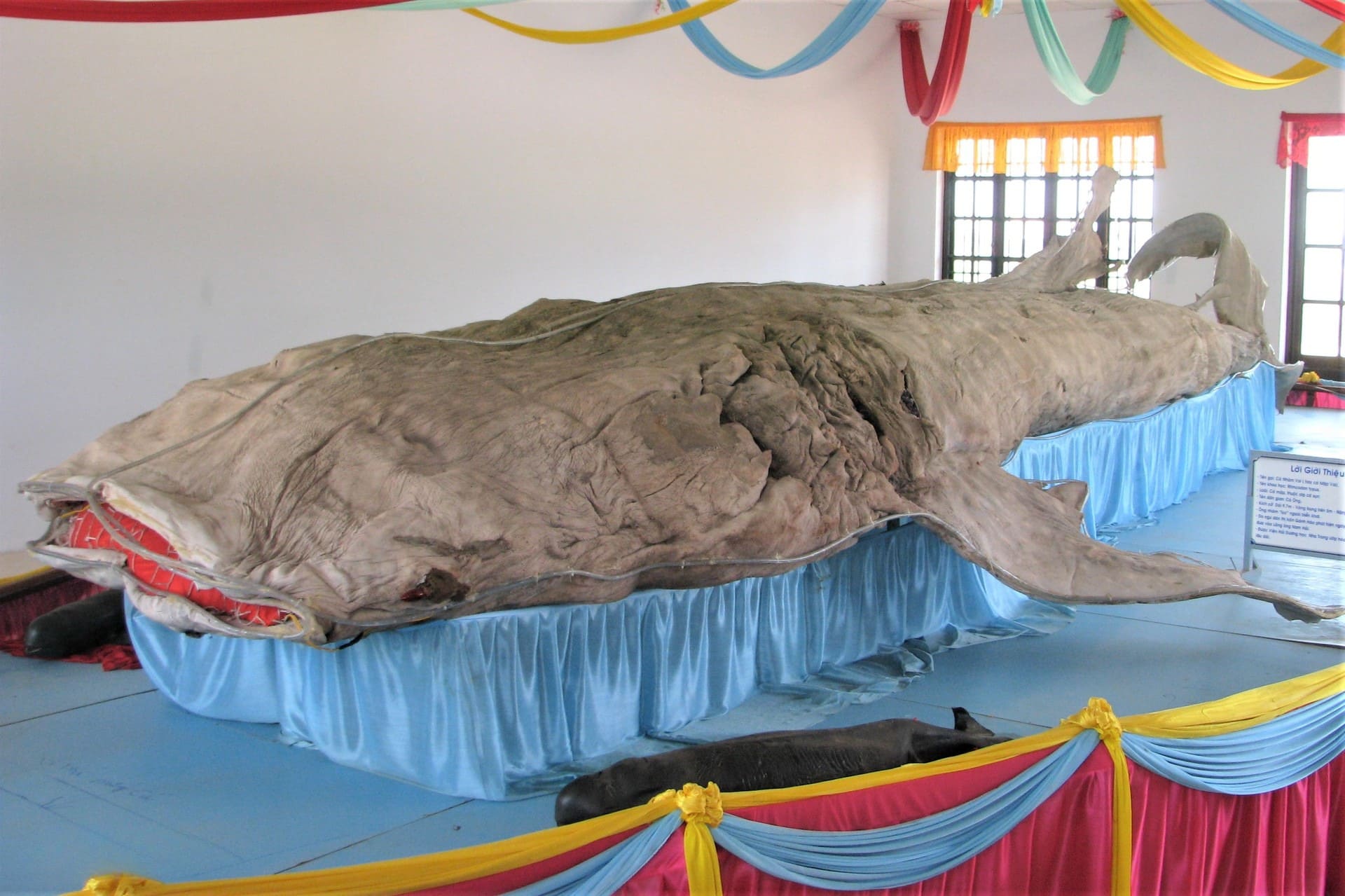 tuc tho ca ong viet nam nam hai dai tuong quan