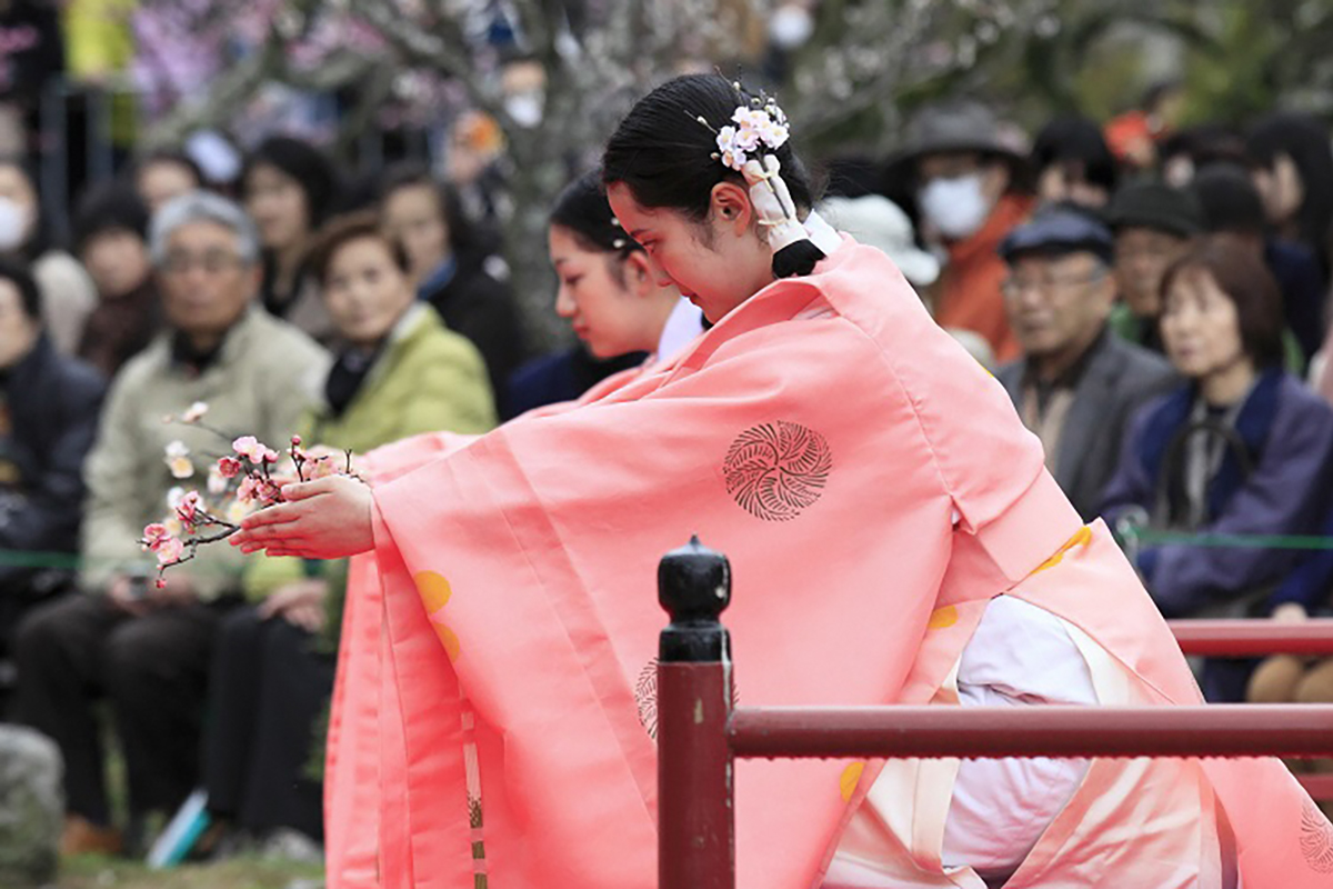 桜 Sakura nhat ban
