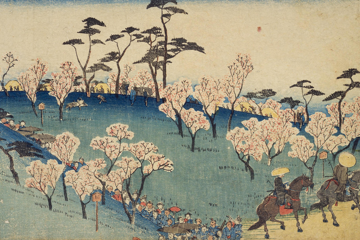 桜 Sakura nhat ban