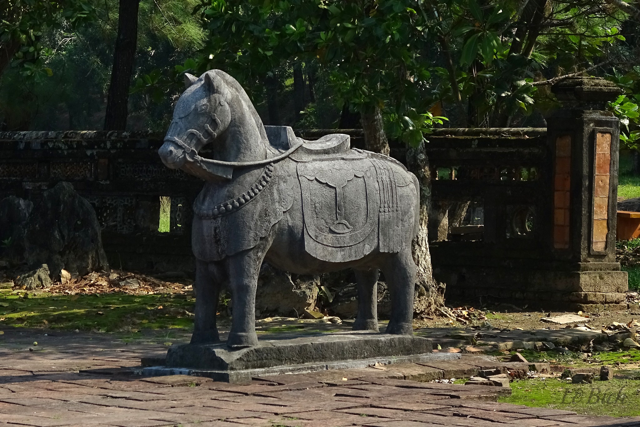 tuong ngua da lang thieu tri 