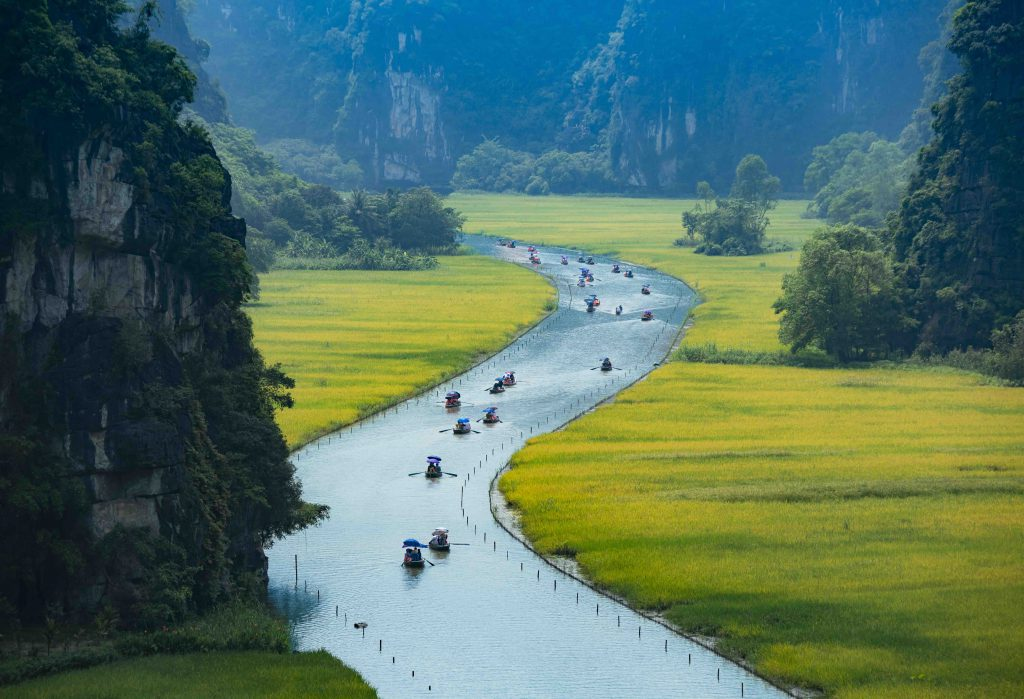 co do hoa lu ninh binh