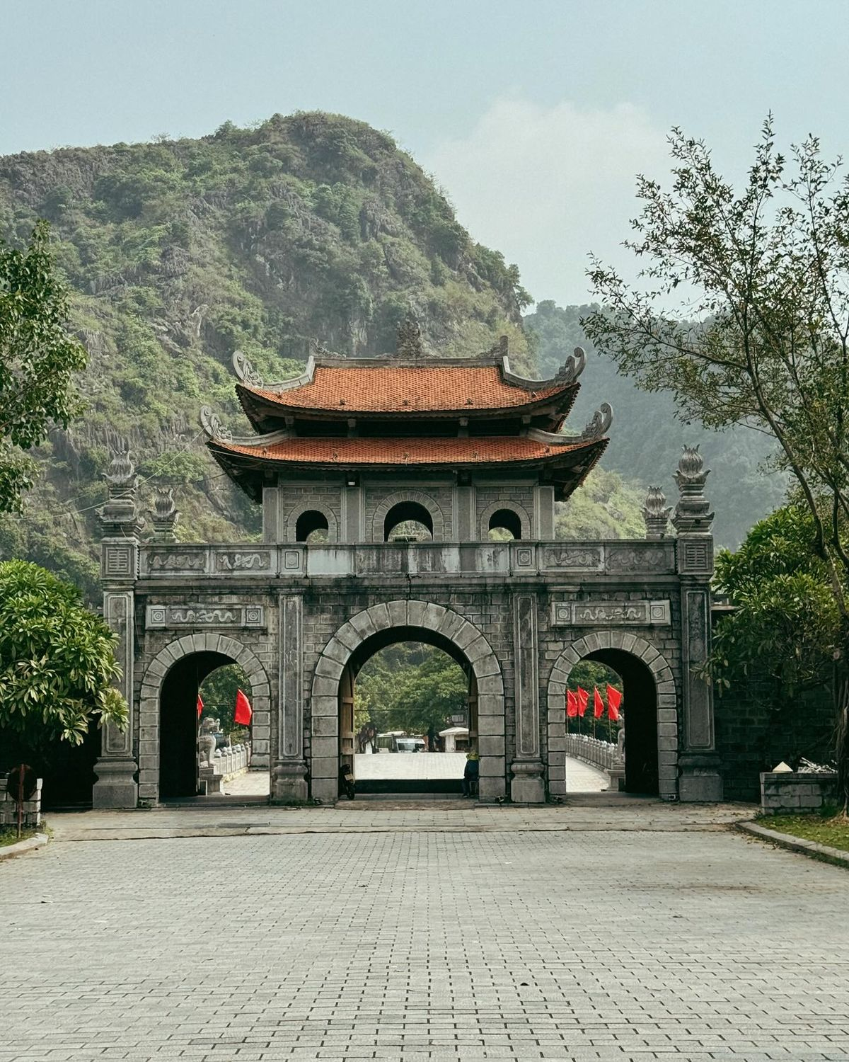 co do hoa lu ninh binh
